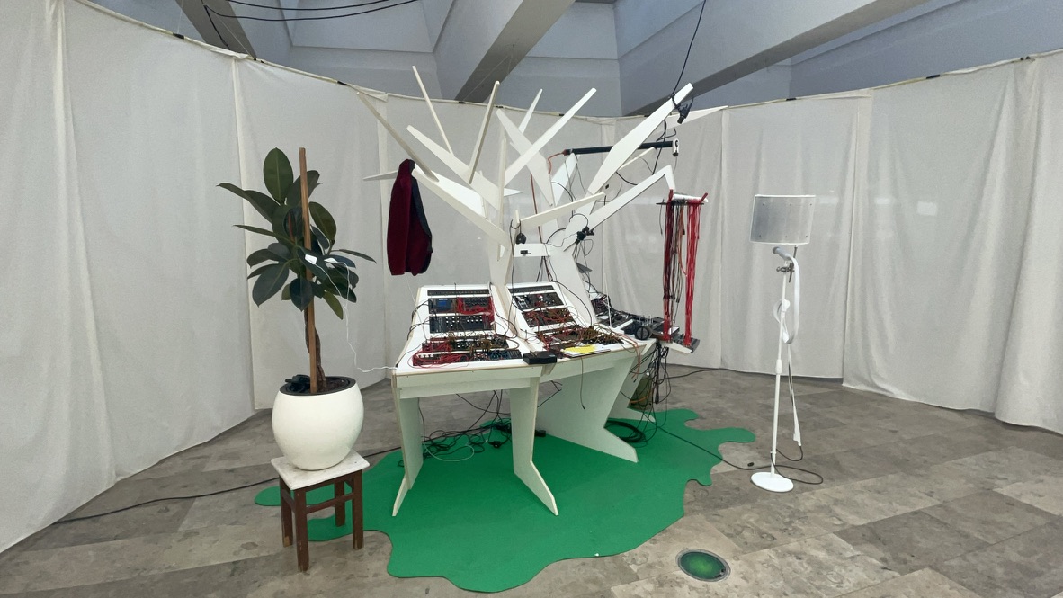 Vox Arboris installation at WIHH gallery, Summer 2023